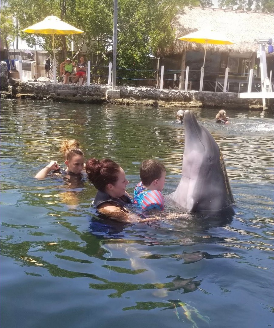 帶兒子到海洋世界與海豚玩。（圖／翻攝自FB@Accessible Adventures）